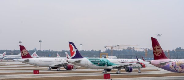 Où pratiquer le snorkeling au milieu des raies manta à Hawaii ?